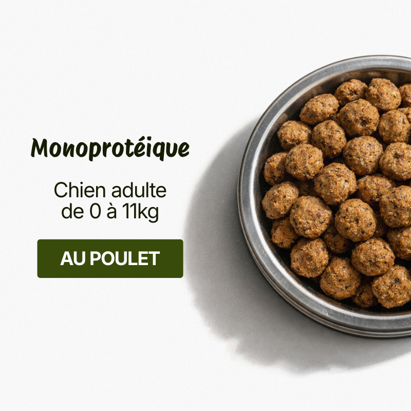 Croquettes pour Chien Mini Adulte - Poulet et riz (Chiens entre 1-10 kg)