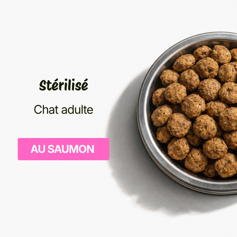 Croquettes pour Chat Adulte Stérilisé - Saumon (Chats de +1 an)