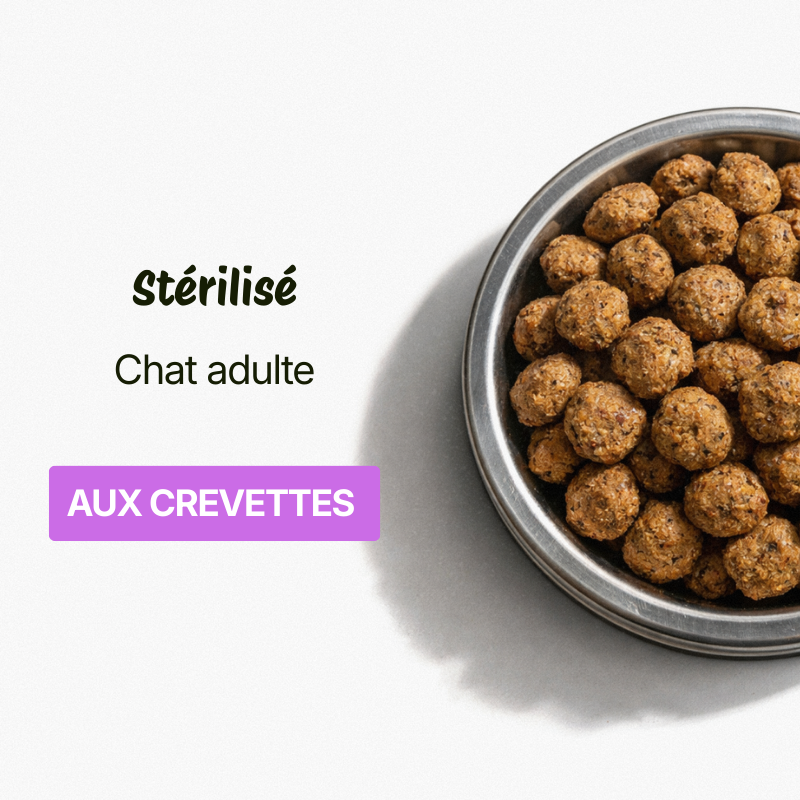 Croquettes pour Chat Stérilisé Adulte Crevettes (Chats de +1 an)