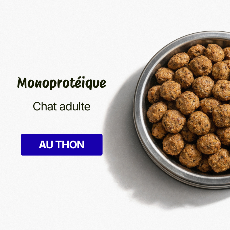 Croquettes pour Chat Adulte - Thon (Chats de +1 an)