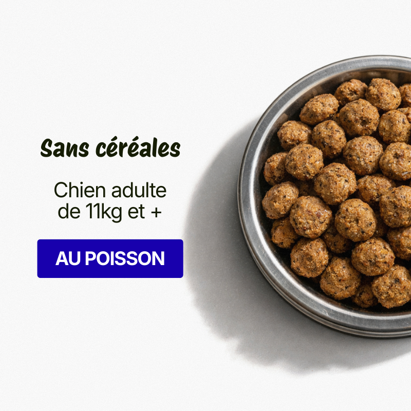 Croquettes pour Chien Adulte Medium Sans céréales - Poisson de l'océan et Riz (Chiens de 10 à +26kg)