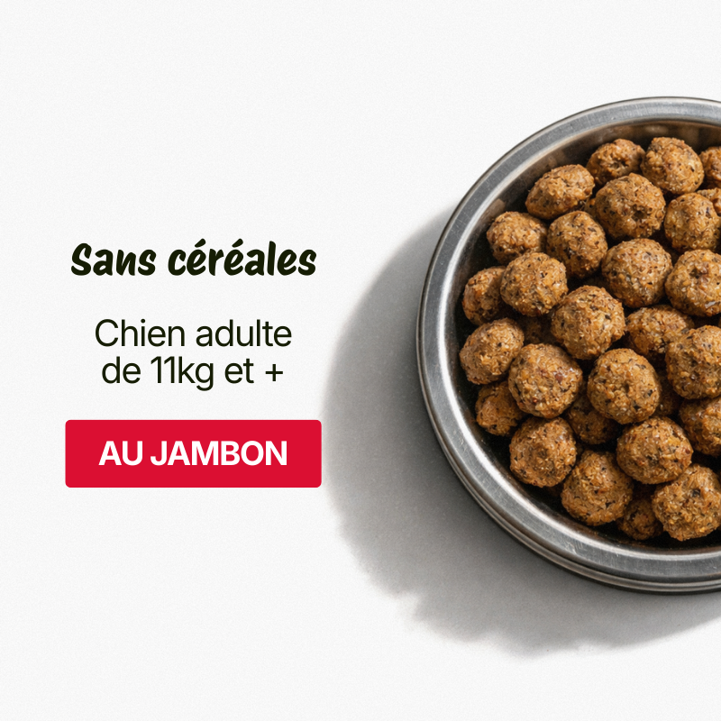Croquettes pour Chien Adulte Sans céréales - Jambon, Pommes de terre et Pois (Chiens de 10 à +26kg)