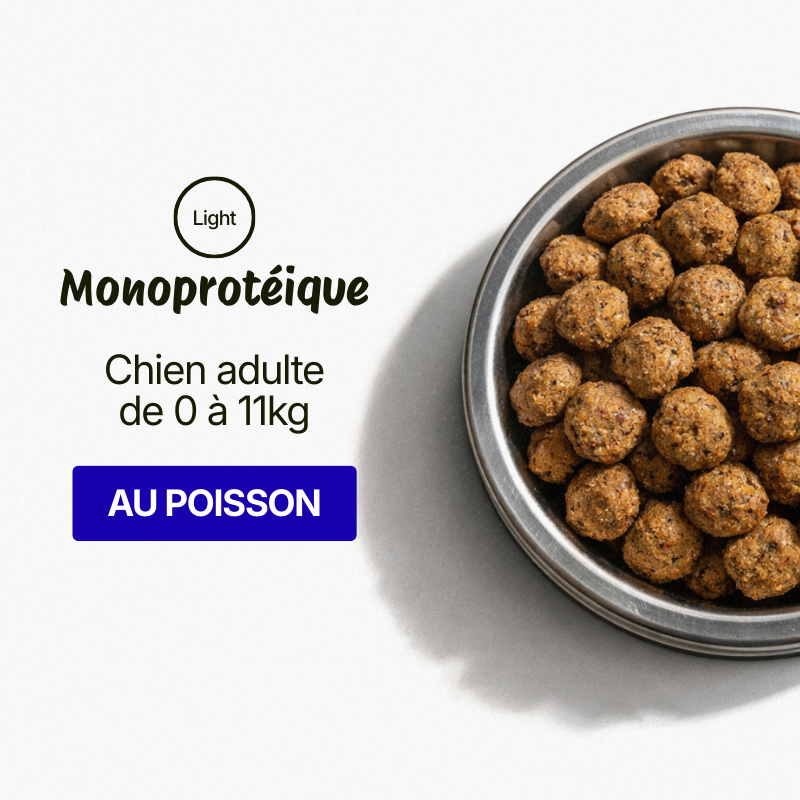 Croquettes pour Chien Light Mini Adulte - Poulet et Riz (Chiens de 1-10 kg)