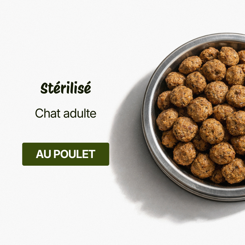 Croquettes pour Chat Stérilisé Adulte - Poulet (Chats de +1 an)